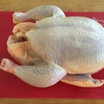Run Chicken Run – How to Dissect a Chicken